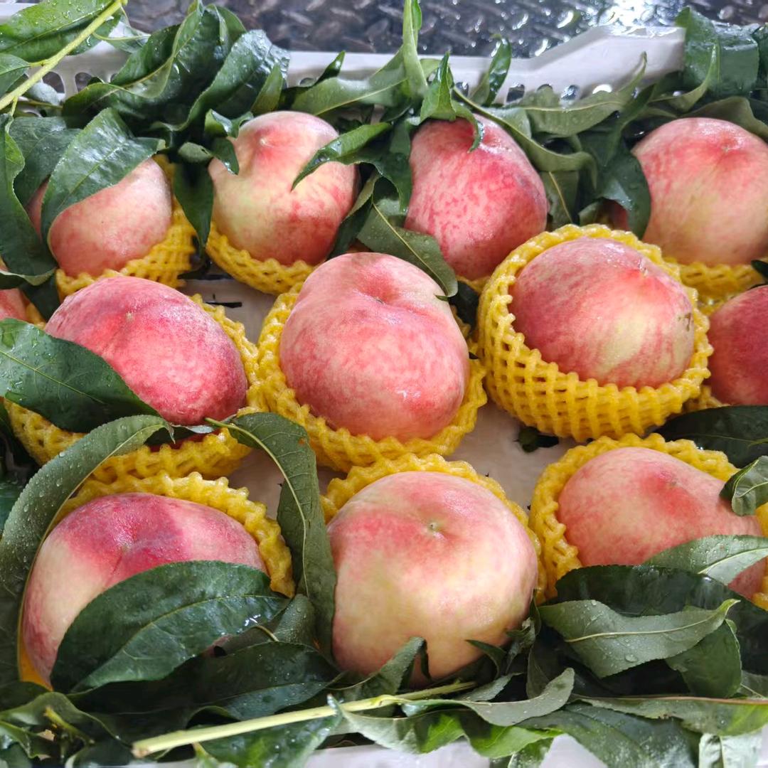 越来越好