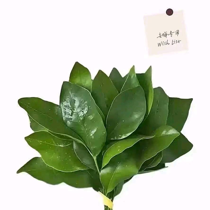 今生有你就足够