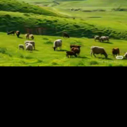 开心就好。。。。胡述果