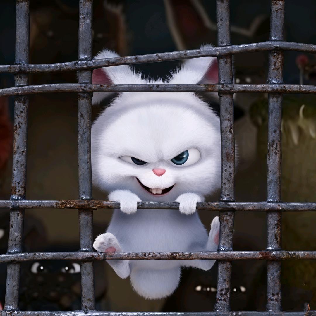 兔兔兔兔兔⁰⁴⁰⁸