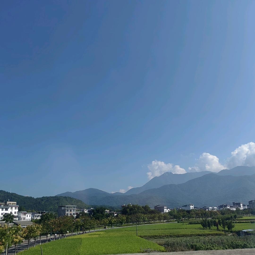 新罗区状元龙中高考数学培训