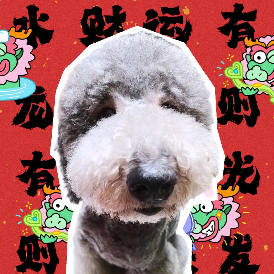 大晨晨潮玩工作室