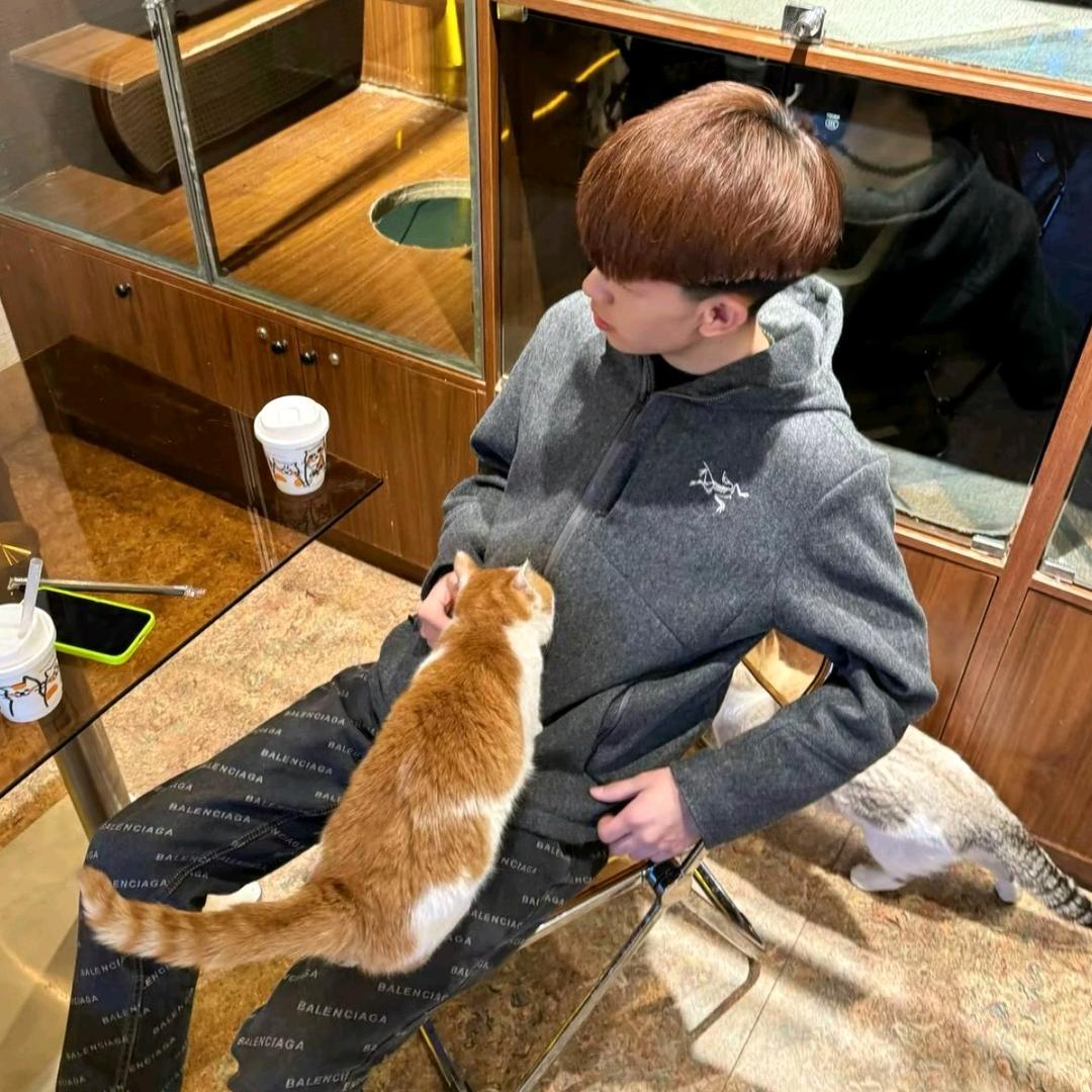 灰太狼