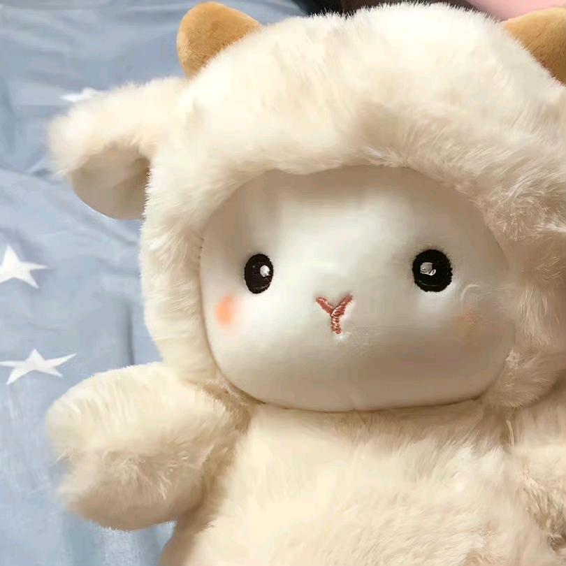 小羊🐑、