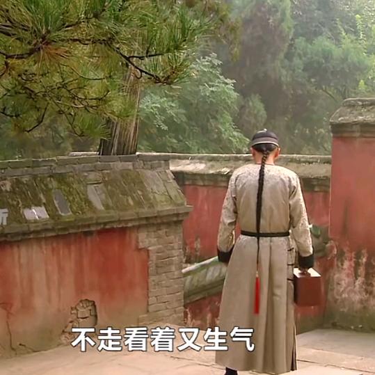 花裤衩子睡大觉