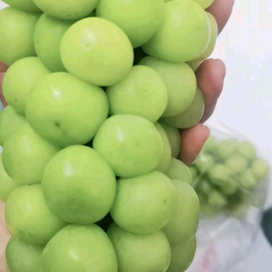 影子-