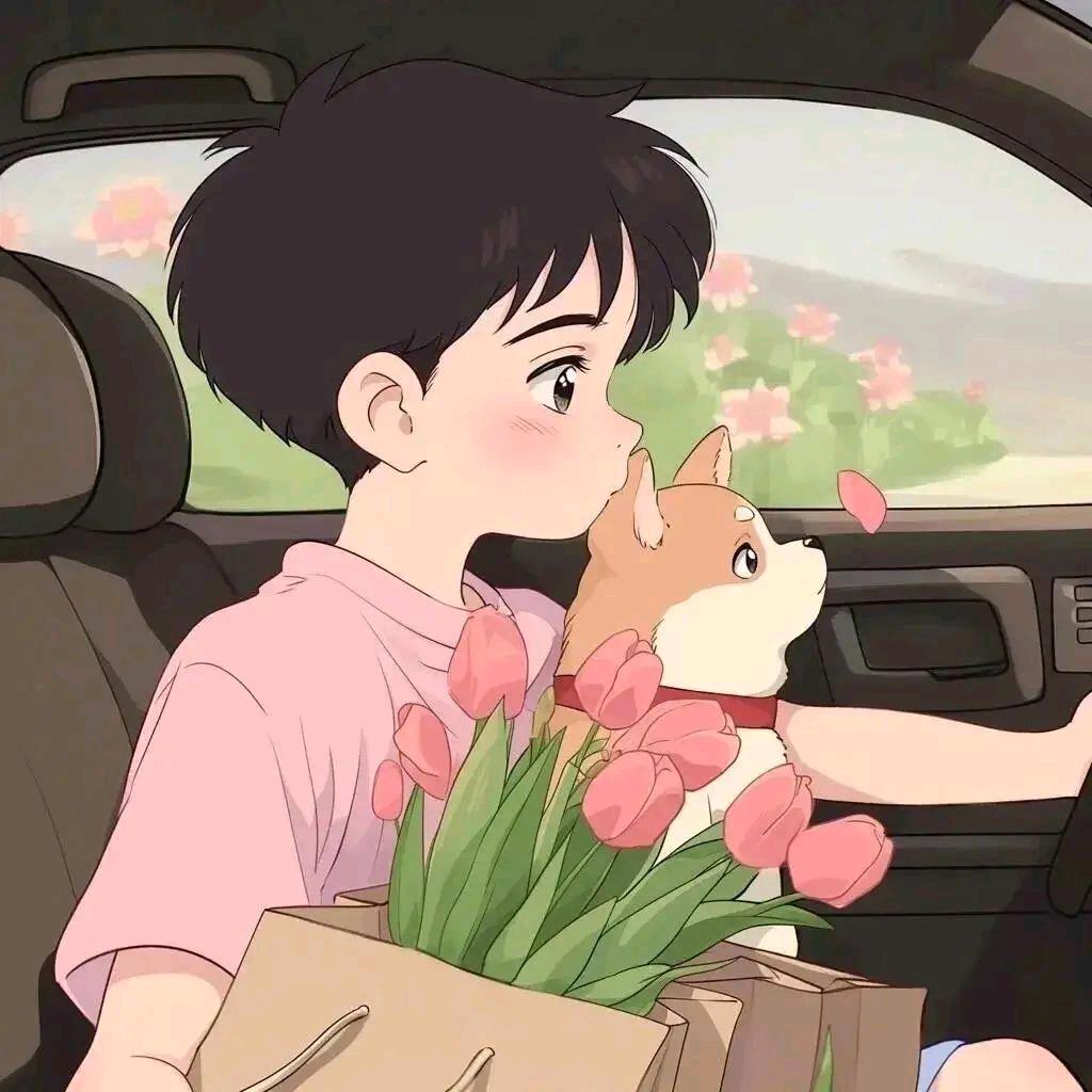 不悔梦归处