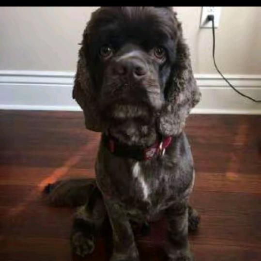 偷捏超市方便面