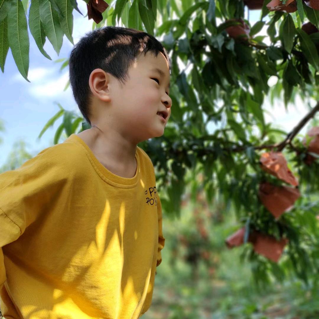 种桃子的小姐姐
