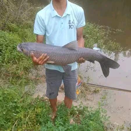 钓鱼🎣小邓