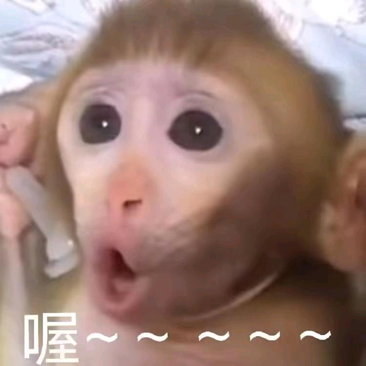 小猴子