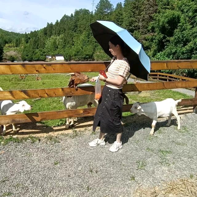 小秋🍀