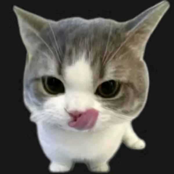 友友友天