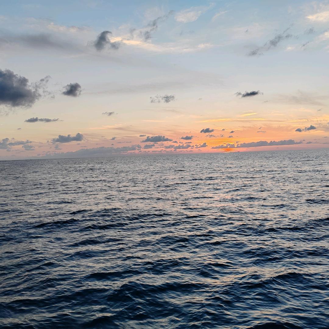 随心而行💪🏻