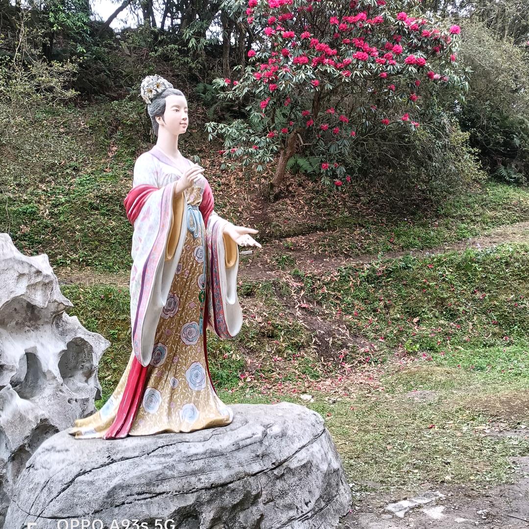 感谢时光陪伴我