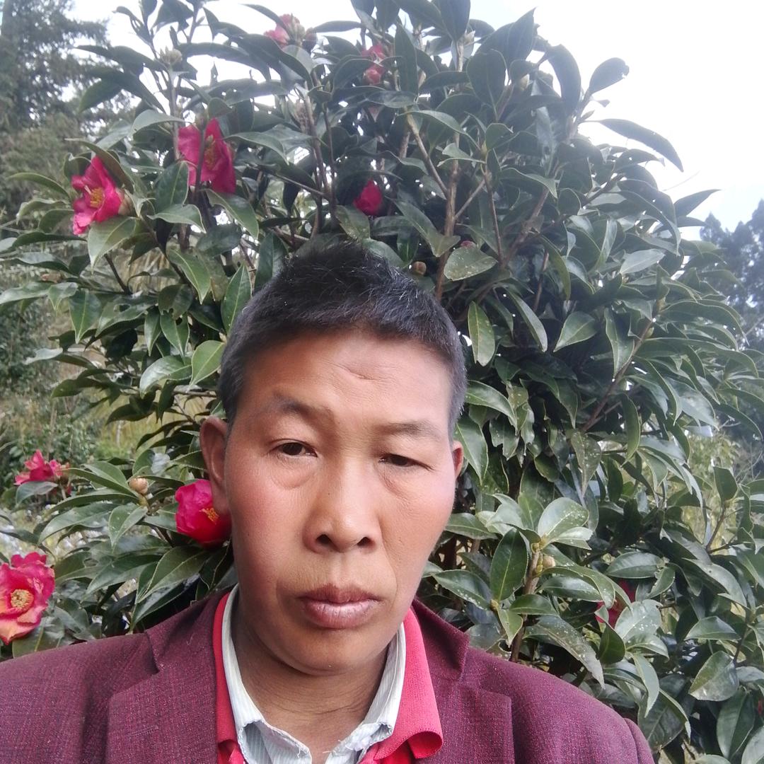 保山巿龙陵县象达小郭