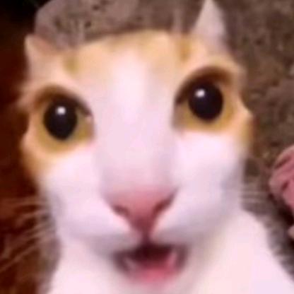 olazhg
