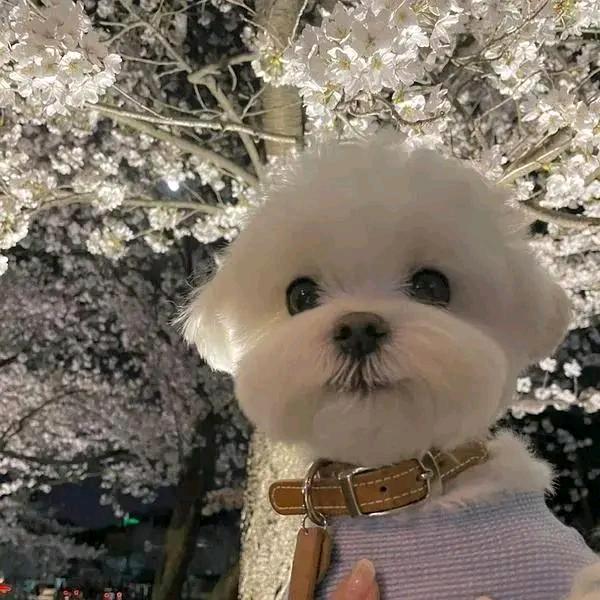 小熊牛奶盒🗻🧸