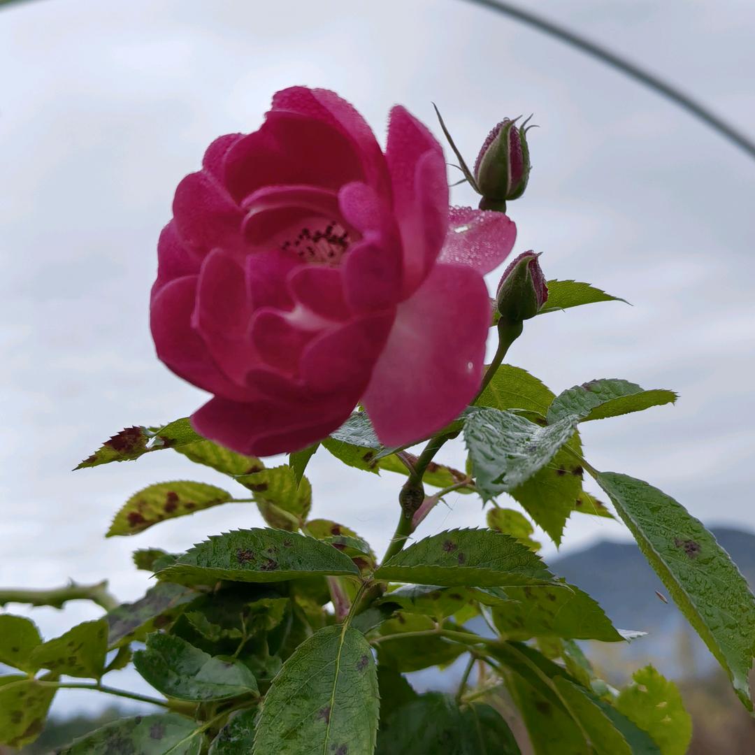 春暖花开
