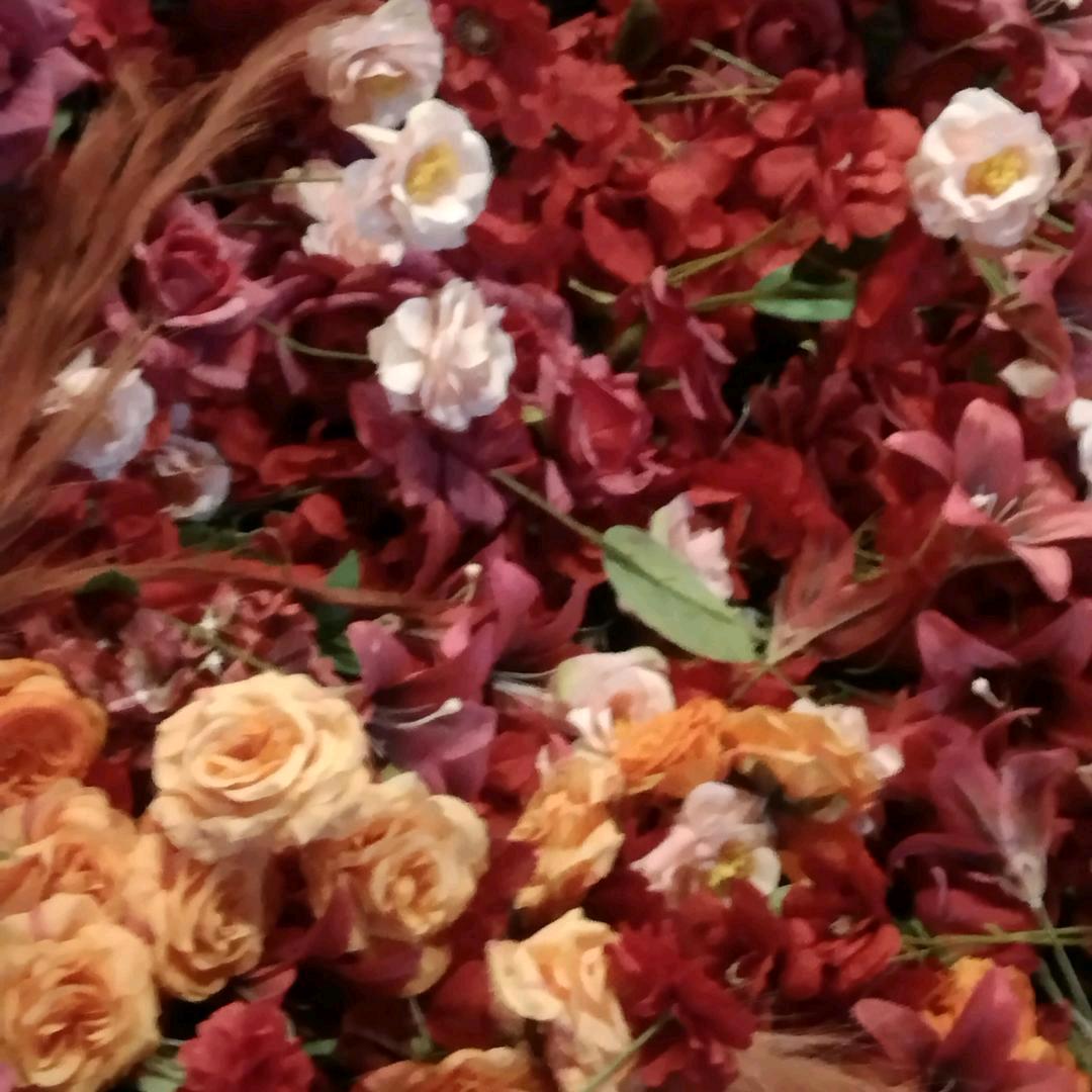 英姐姐晚上开播八点钟二十