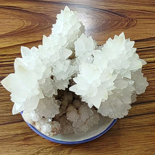 来世不易，善渡天下。宇宙微尘子刘顺天！