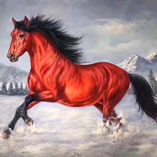 华盛烟酒茶商行