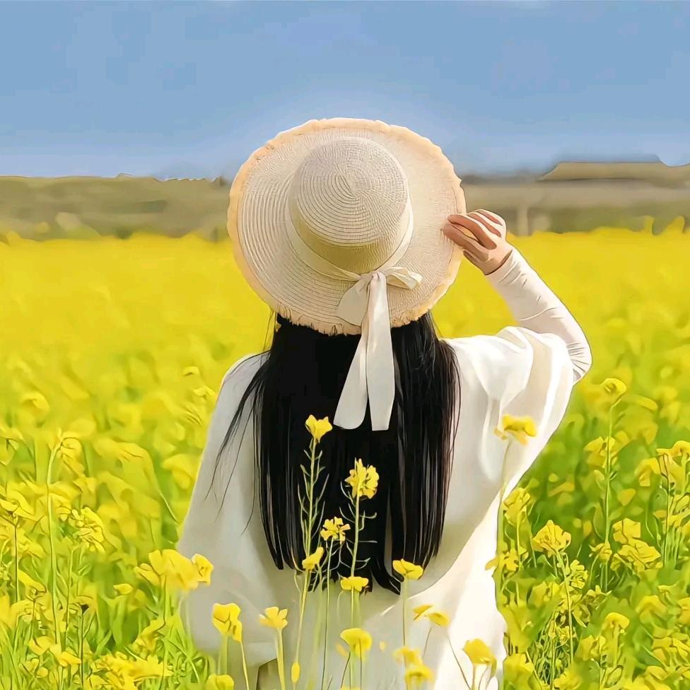 🌹一生无悔🌷