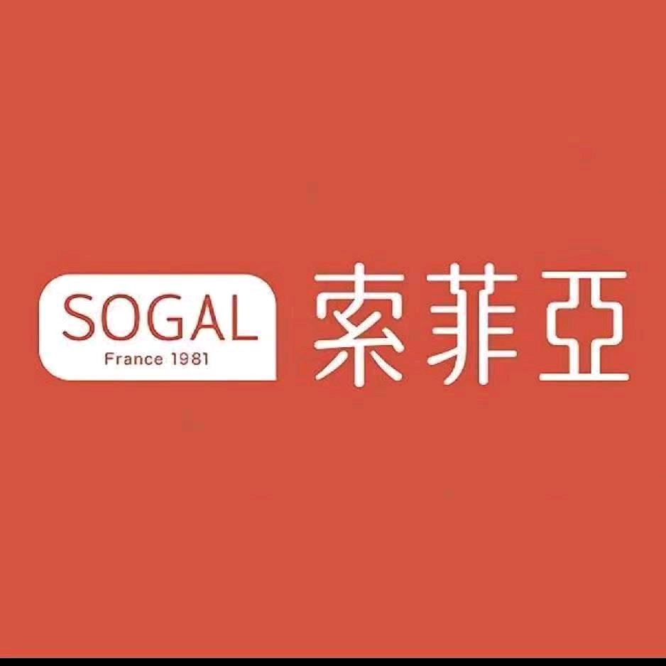 索菲亚点点
