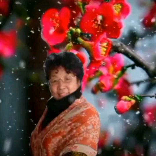 傲寒枝梅