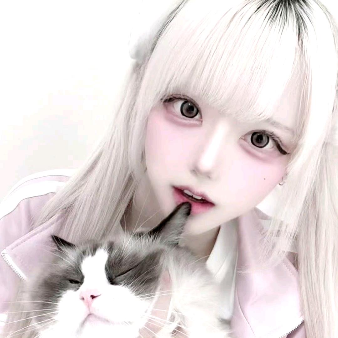 珍珠猫