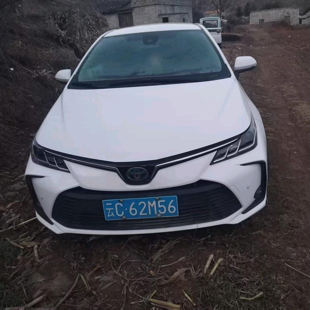 许卢一心