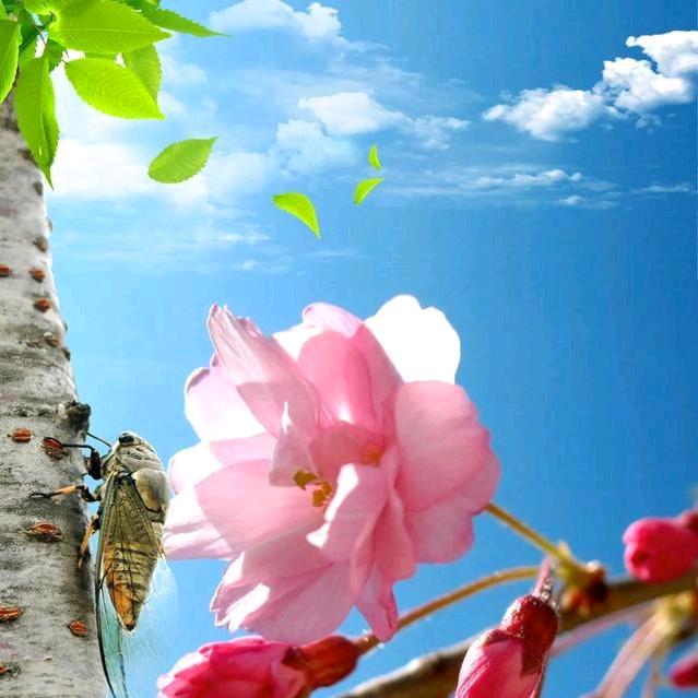 @春暖花开&&&