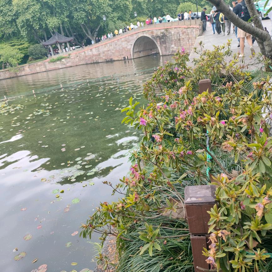 老高车业，售后