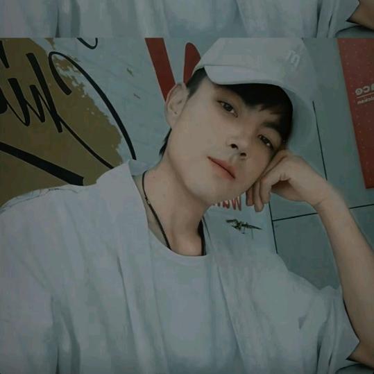 梦幻战队斗鸡养殖