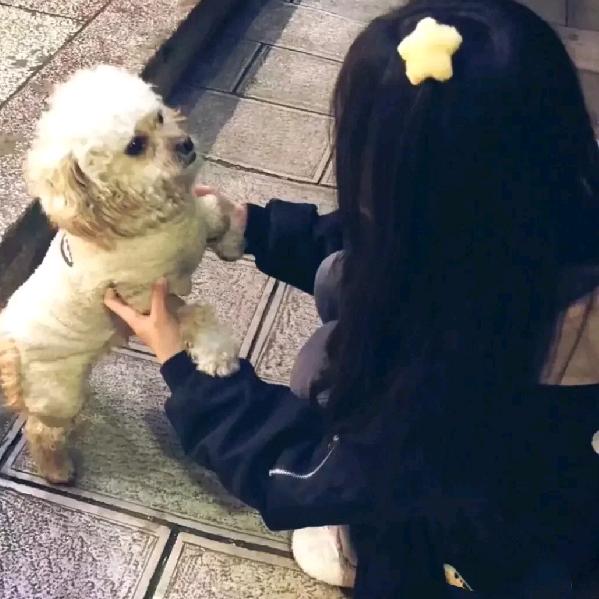 芮☃️（组局超甜版）