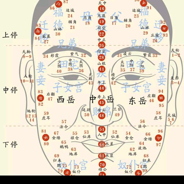 觀易·周末菜园