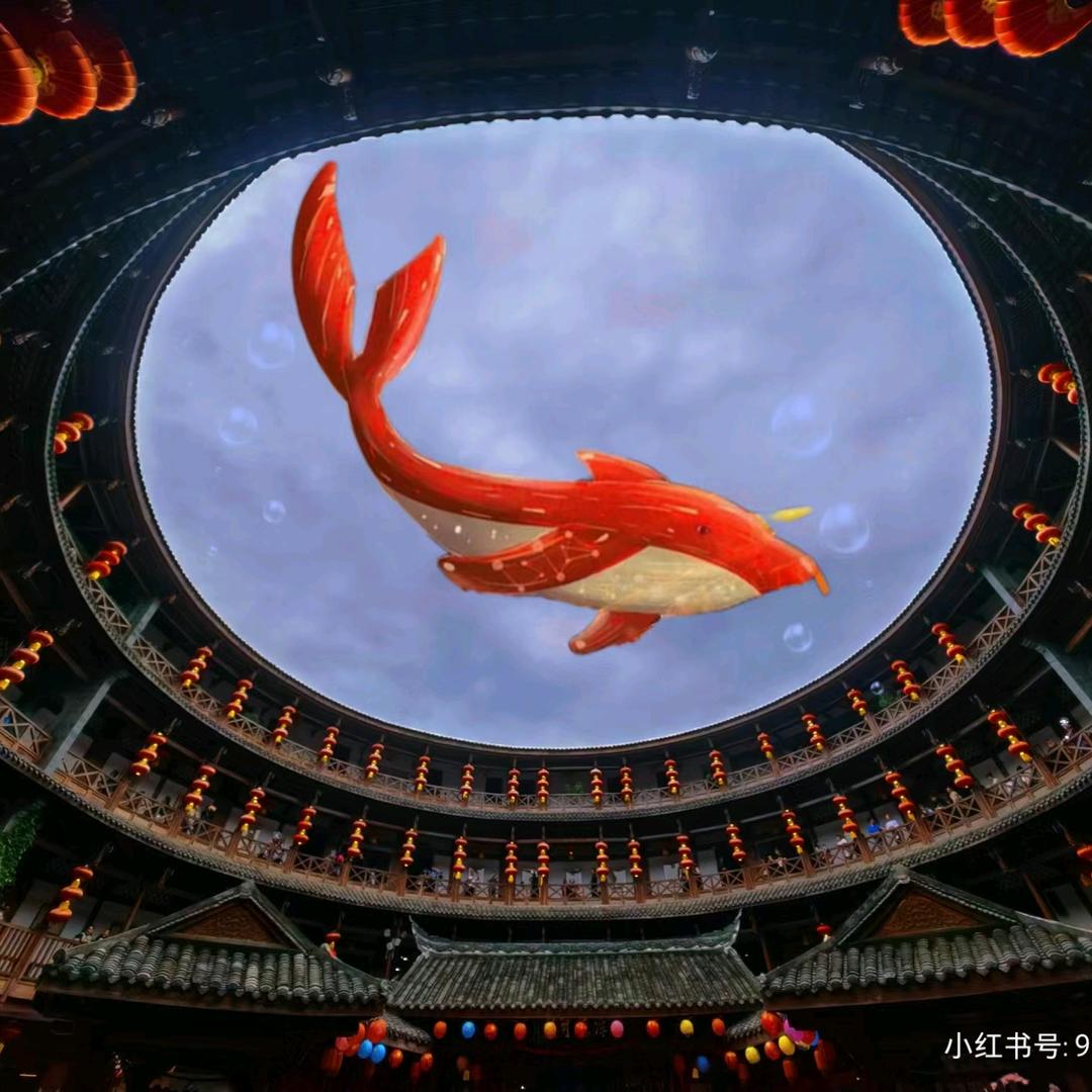 鱼太咸不闲