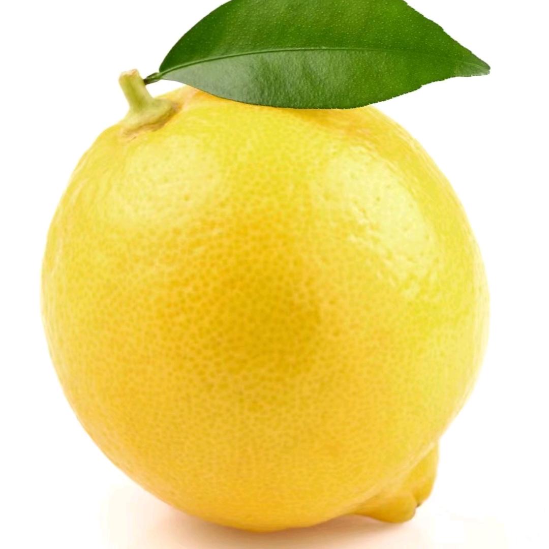 醋坛里的柠檬精