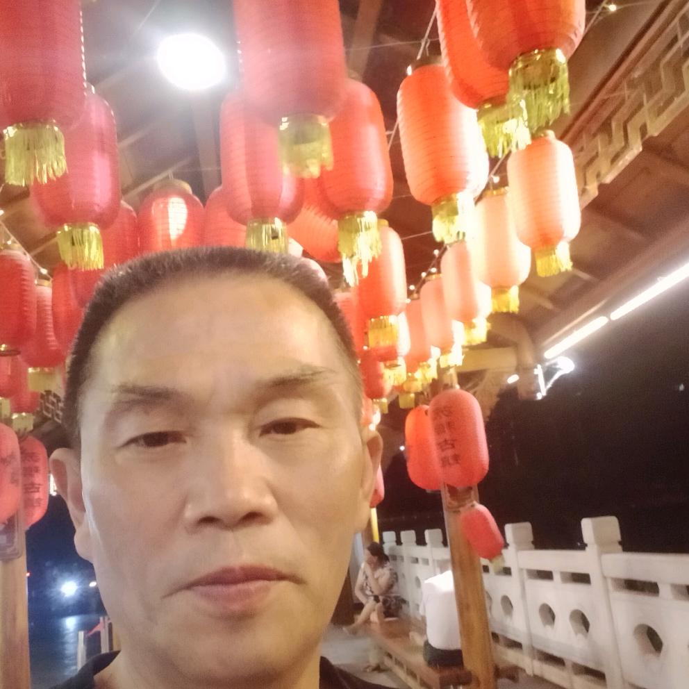十二经络