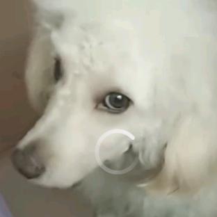 开心快乐幸福