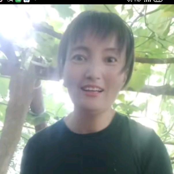 林州红薯