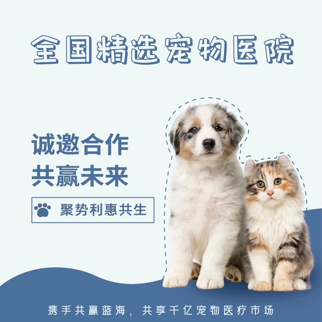 全国精选宠物医院·加盟