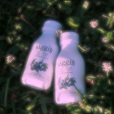 香香国国王👑2.0