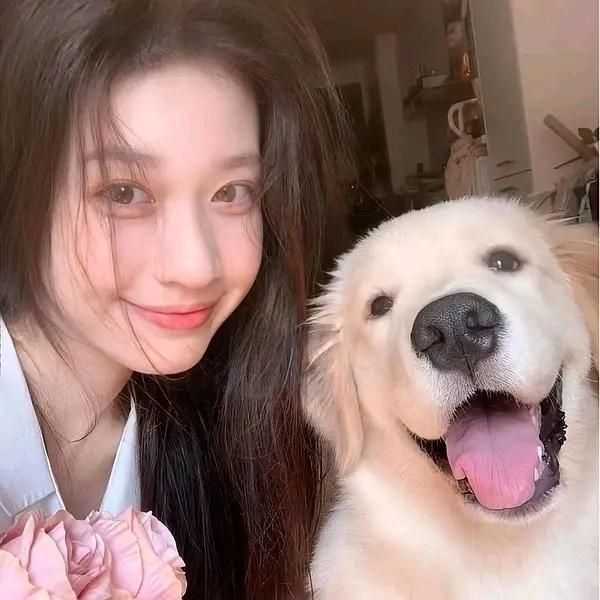 小美的衣橱