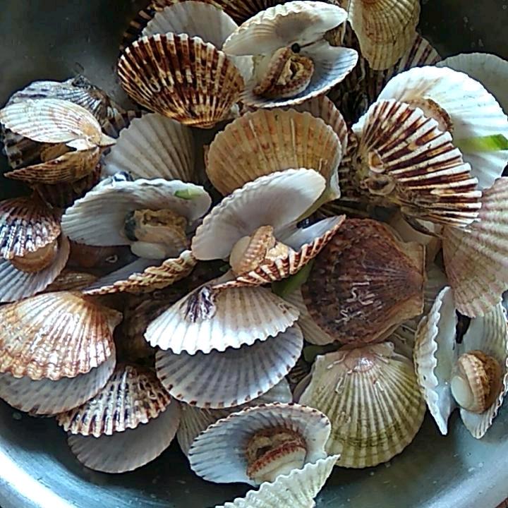 凯凯璇璇:售自家榨纯花生油