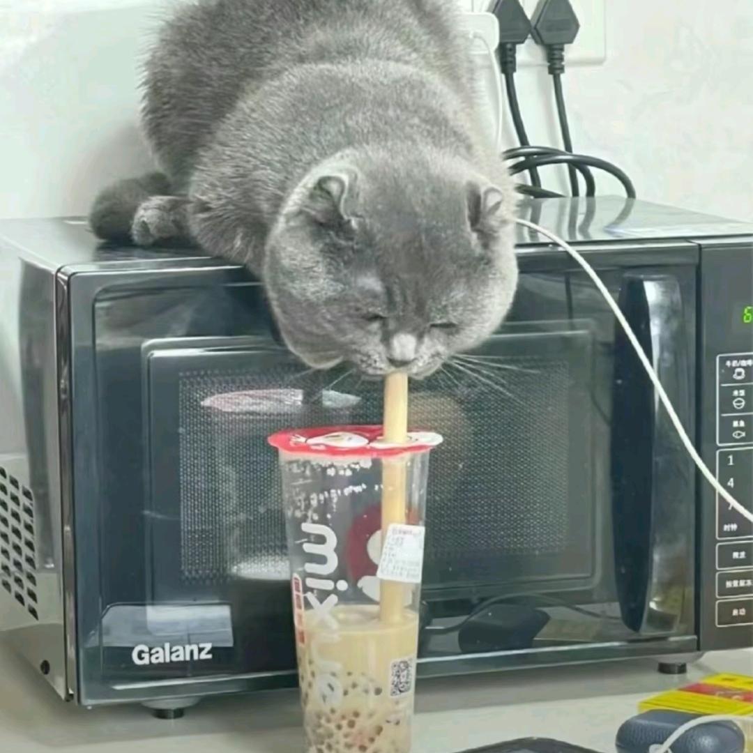 ꧁有空刷刷抖音꧂