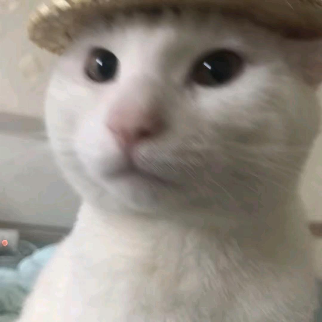 🌈🌈牛啵一
