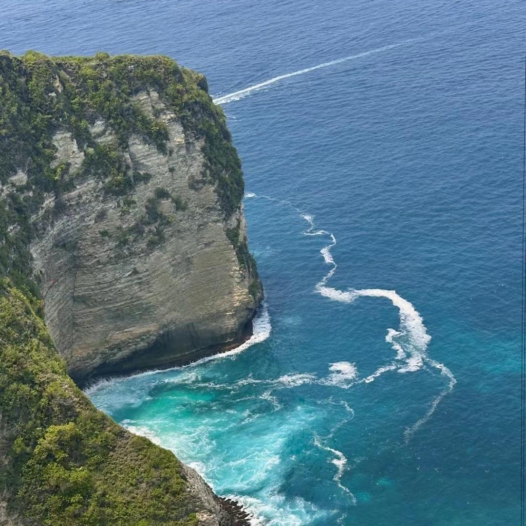 大白很靠谱⛳️