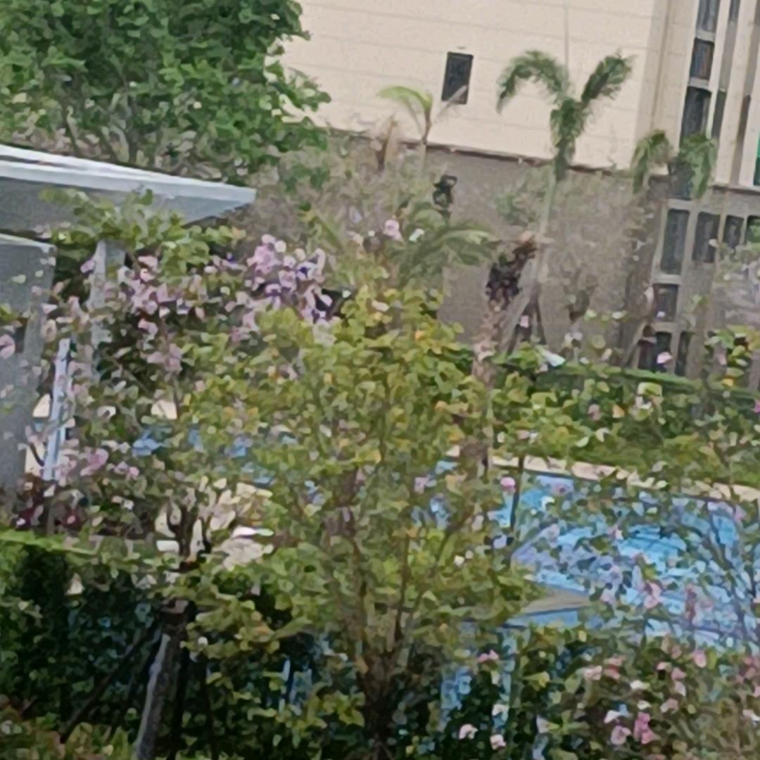 人生如意，美好幸福