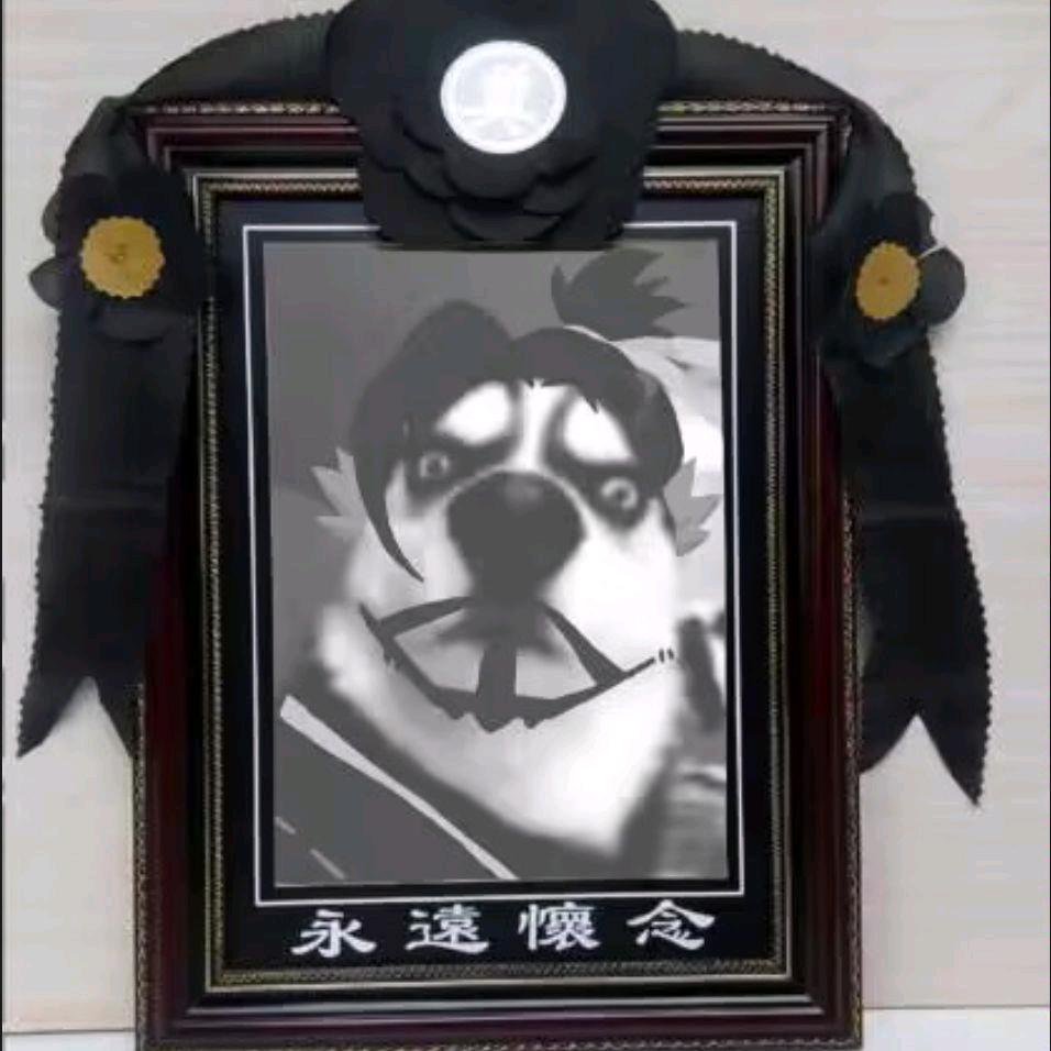 巧乐兹zZz